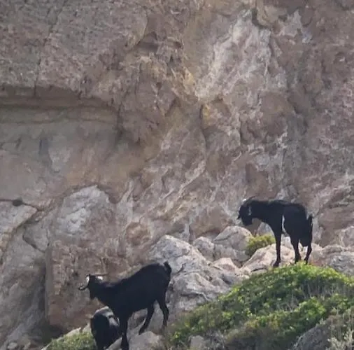 Appartamento Castell Sol - Arenal Den Castell Arenal d'en Castell