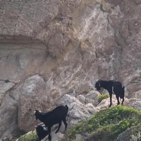 Appartement Castell Sol - Arenal Den Castell Arenal d'en Castell